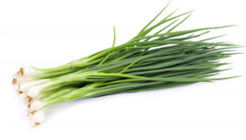 Spring Onion Suppliers