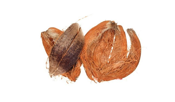 Coconut Husk Suppliers