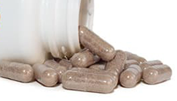 Guggul Capsules Suppliers