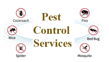 Pest Control Services Suppliers in Ranebennuru