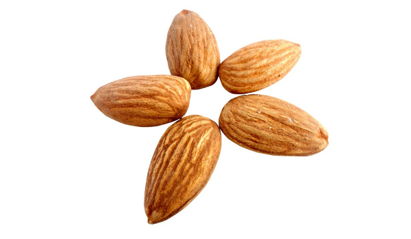 Organic Almond Suppliers in Thana Bhawan