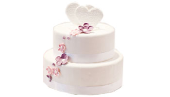 Vanilla Cake Suppliers