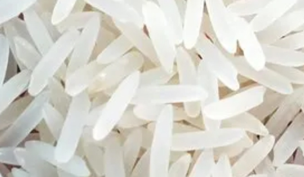 Unpolished Rice Suppliers