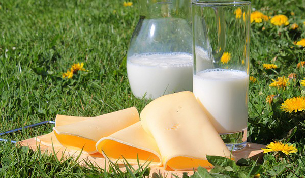 Milk & Dairy Products Suppliers