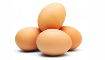 Brown Eggs Suppliers