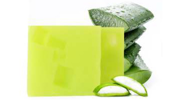 Aloe Vera Soap Suppliers