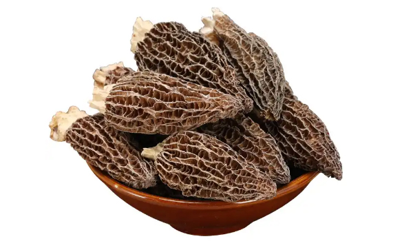 Sponge Mushroom Suppliers