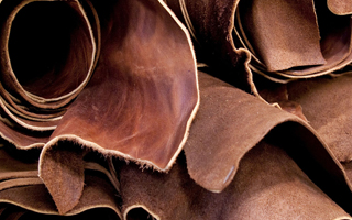 Raw and Processed Leather Suppliers