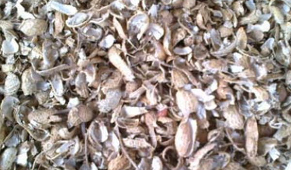 Groundnut Shells Suppliers