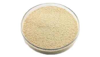 L-Lysine Hydrochloride Suppliers