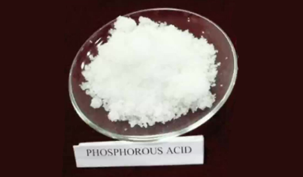 Phosphorous Acid Suppliers