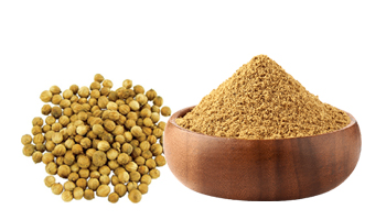 Coriander Powder Suppliers