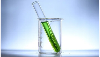 Biofuel Suppliers in United Arab Emirates