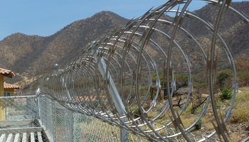 Concertina Wires Suppliers in Thangadh