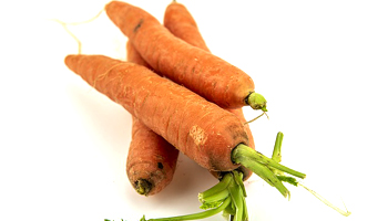 Red Carrot Suppliers in Solapur