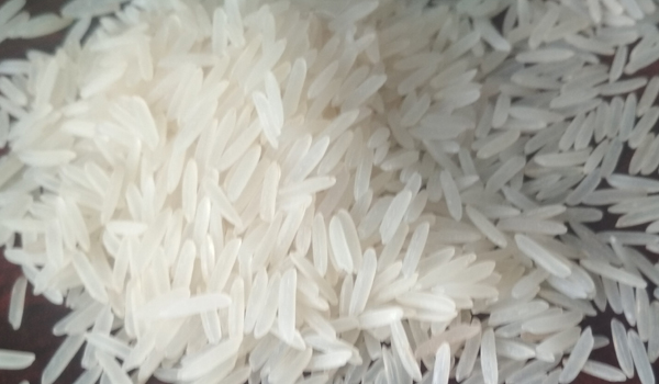 White Sella Basmati Rice Suppliers in Pinjore