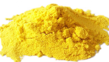 Dry Mango Powder Suppliers in Savarkundla