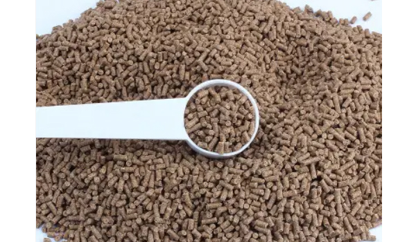 Fish Feed Suppliers