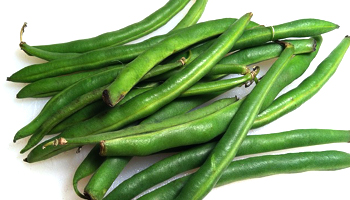 Beans Suppliers in Tirupathur