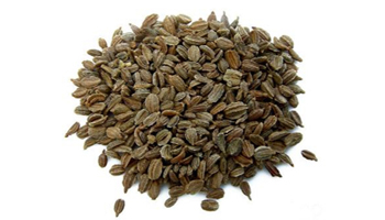 Vegetable Seeds Suppliers in Bhubaneswar