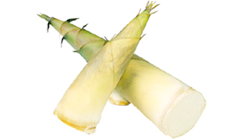 Bamboo Shoots Suppliers