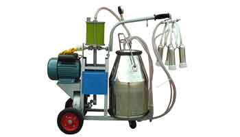 Milking Parlour Suppliers