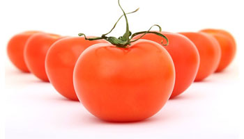 Tomato Suppliers in Adyar