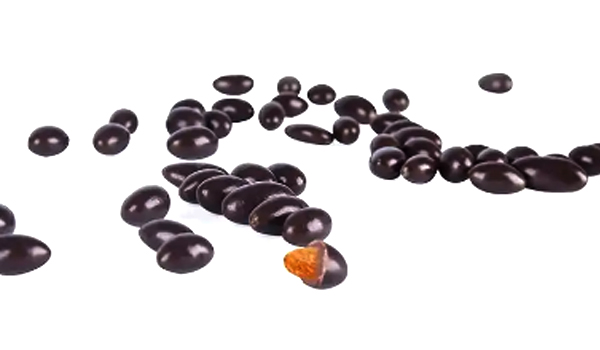 Raisin Chocolate Suppliers