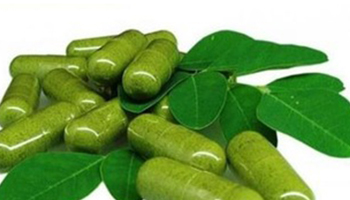 Moringa Capsules Suppliers in Khambhat