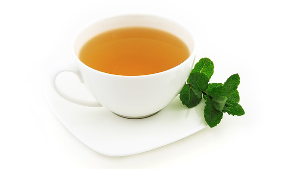 Tea Bags Suppliers in Baharampur