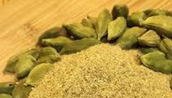 Cardamom Powder Suppliers