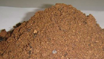 Horse Feeds Suppliers