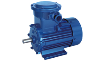 Squirrel Cage Motors Suppliers