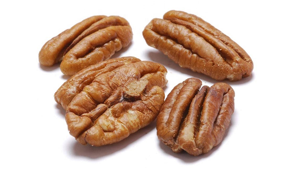 Pecan Nuts Suppliers