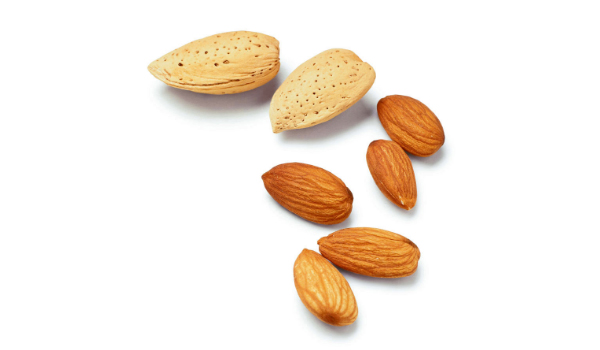 Almond Kernels Suppliers in Rajgarh