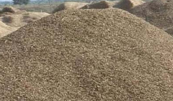 Groundnut Husk Suppliers