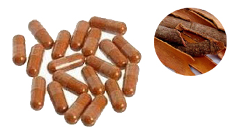 Cinnamon Capsules Suppliers