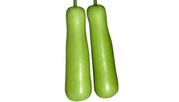 Bottle Gourd Suppliers in Madhupur