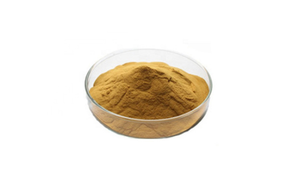 Anti Bacterial & Fungal Extracts Suppliers