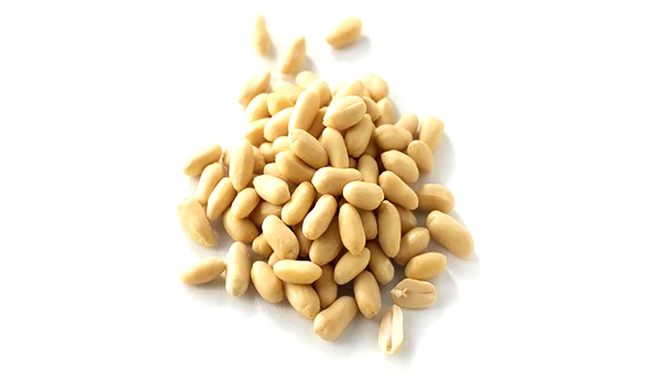 Blanched Peanut Suppliers in Modinagar