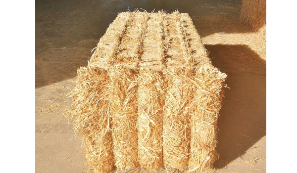 Wheat Straw Suppliers