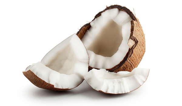 Coconut Suppliers in Shahpur