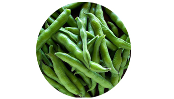 Broad Beans Suppliers