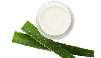 Massage Creams Suppliers