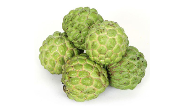 Custard apple Suppliers