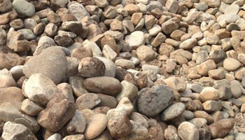 River Pebble Suppliers in Hisar