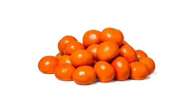 Mandarin Orange Suppliers