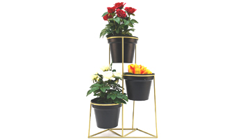 Garden Plant Suppliers