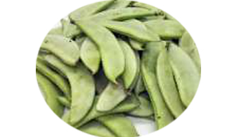 Hyacinth Beans Suppliers