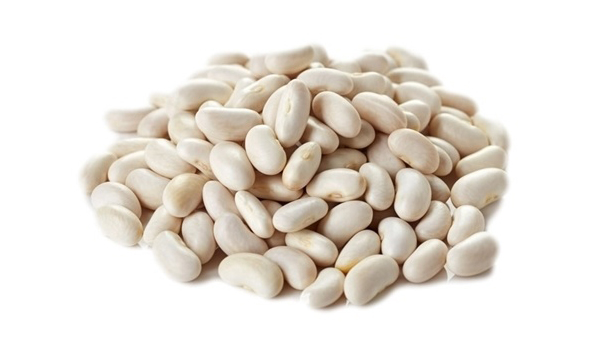 White Bean Suppliers in Azamgarh